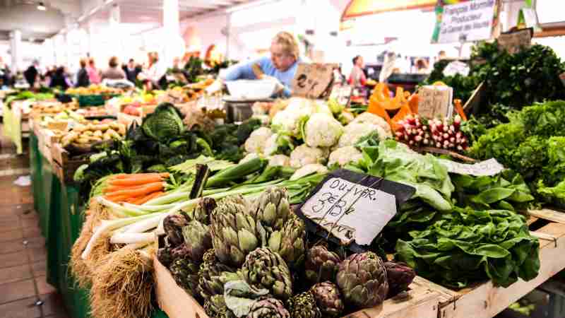 Österreich aktualisiert Ernährungsrichtlinien mit Schwerpunkt auf pflanzlicher Ernährung und Nachhaltigkeit